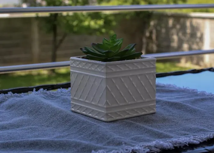 Wildlight Holiday home